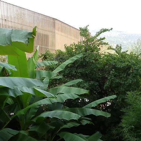 ナポレオン マントン