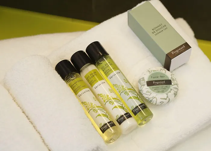 ナポレオン ホテル 4*