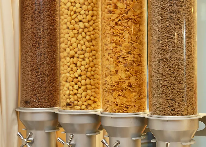 Napoleon מלון 4*